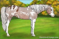 Horse Color:White Spotted Silver Bay Sabino Splash Varnish 