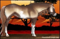 Horse Color:White Spotted Red Onyx Sabino 