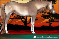 Horse Color:White Spotted Red Onyx Sabino 