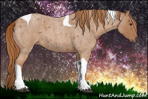 Horse Color:Red Roan Tobiano