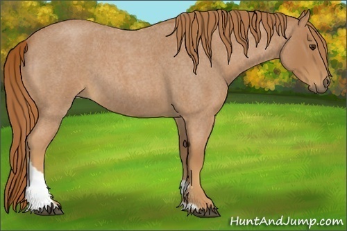 Horse Color:Red Roan Tobiano 