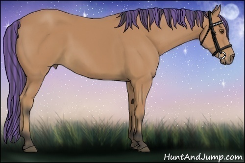 Horse Color:Painted Buckskin 