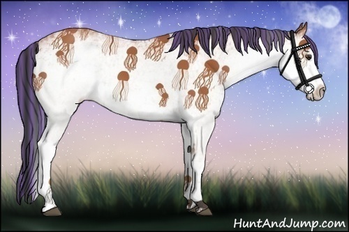 Horse Color:Painted White Spotted Bay 