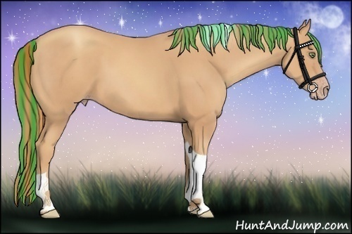 Horse Color:Painted Gold Champagne Tobiano