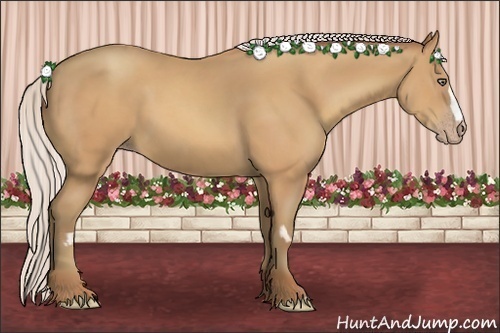 Horse Color:Silver Amber Champagne Frame 