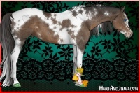Horse Color:White Spotted Liver Chestnut Splash Tobiano