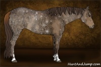 Horse Color:Liver Chestnut Ice Sabino 