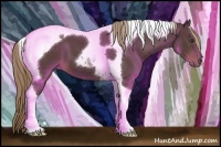 Horse Color:Liver Chestnut Tobiano 
