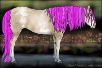 Horse Color:Painted White Spotted Liver Chestnut Pearl Splash Rabicano