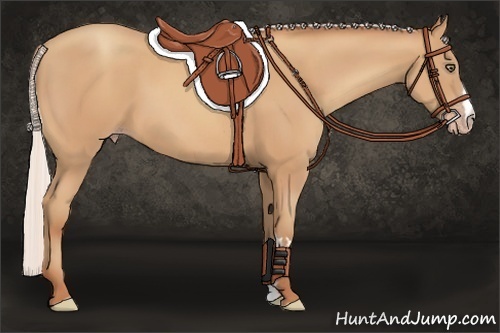 Horse Color:Silver Amber Champagne Frame
