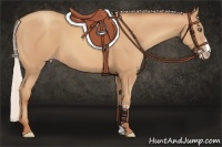 Horse Color:Silver Amber Champagne Frame 