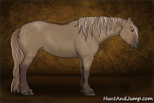 Horse Color:Liver Red Dun Rabicano