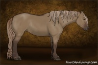 Horse Color:Liver Red Dun Rabicano