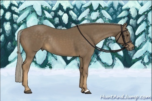 Horse Color:Chocolate Palomino Rabicano 