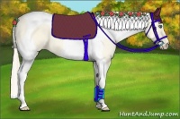 Horse Color:Perlino Dun Tobiano 