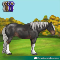 Horse Color:White Spotted Liver Chestnut Mushroom Rabicano 