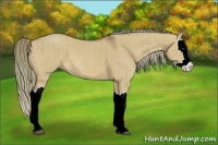 Horse Color:Red Dun Splash Brindle