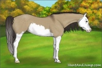Horse Color:Liver Red Dun Splash 