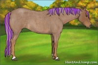 Horse Color:Painted Red Roan
