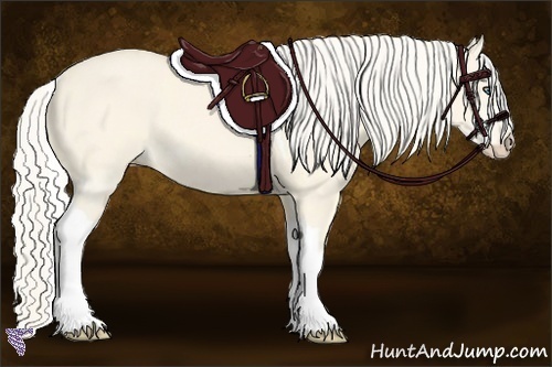 Horse Color:Cremello Dun Tobiano 