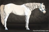 Horse Color:Perlino Dun Tobiano