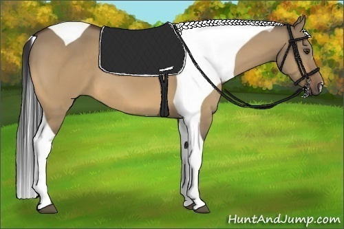Horse Color:Buckskin Dun Tobiano 