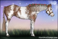 Horse Color:White Spotted Chestnut Sabino