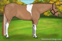 Horse Color:Chestnut Tobiano Frame 