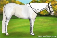 Horse Color:Smoky Creme Dun Tobiano
