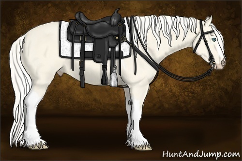 Horse Color:Cremello Dun Tobiano 