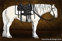Horse Color:Cremello Dun Tobiano