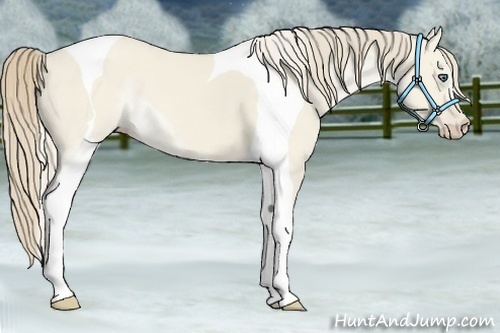 Horse Color:Smoky Creme Dun Tobiano 
