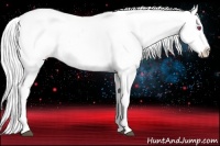 Horse Color:Silver Black Chinchilla Pearl Appaloosa 