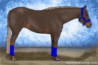 Horse Color:Liver Chestnut Rabicano