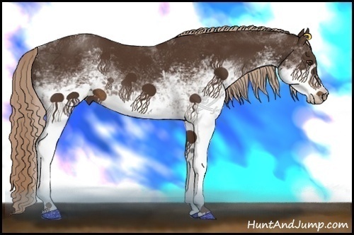 Horse Color:White Spotted Liver Chestnut Tobiano Rabicano
