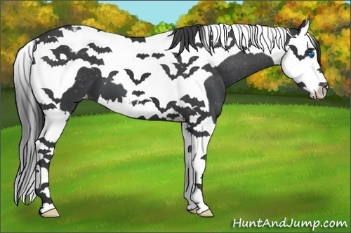 Horse Color:Black Splash Tobiano Varnish