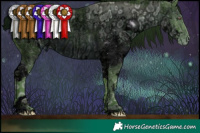 Horse Color:ERROR: UNKNOWN ANOMALY and ERROR: UNKNOWN ANOMALY