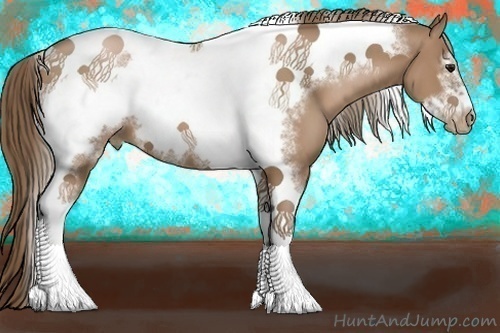 Horse Color:Black Pearl Tobiano Frame 