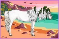 Horse Color:Red Dun Mushroom Varnish 