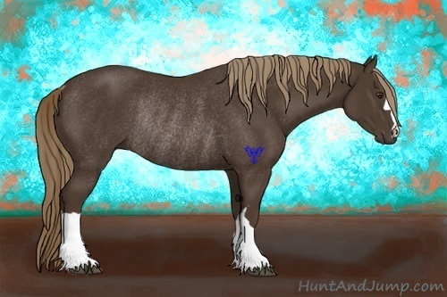 Horse Color:Liver Chestnut Rabicano 
