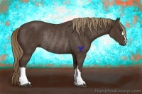 Horse Color:Liver Chestnut Rabicano 