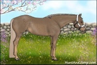 Horse Color:Chocolate Palomino Rabicano 