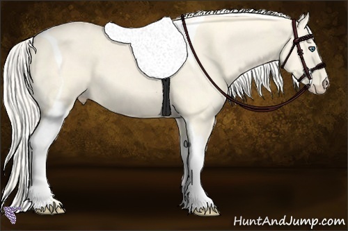 Horse Color:Cremello Dun Tobiano