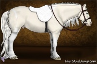 Horse Color:Cremello Dun Tobiano 