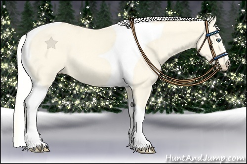 Horse Color:Cremello Dun Tobiano