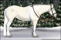 Horse Color:Cremello Dun Tobiano
