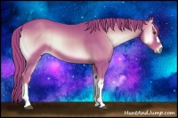 Horse Color:Watercolor Red Onyx 