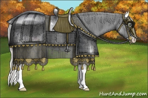 Horse Color:Silver Amber Champagne Roan Dun Splash Tobiano Appaloosa Rabicano 