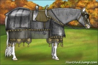 Horse Color:Silver Amber Champagne Roan Dun Splash Tobiano Snowcap Rabicano 
