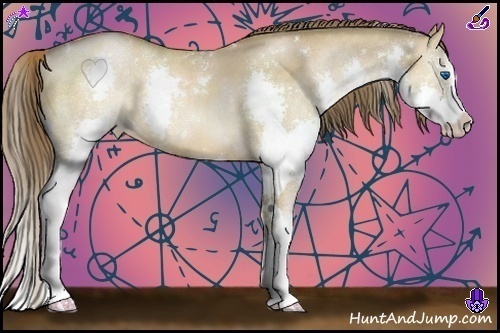 Horse Color:White Spotted Brown Pearl Dun Splash Rabicano Brindle 